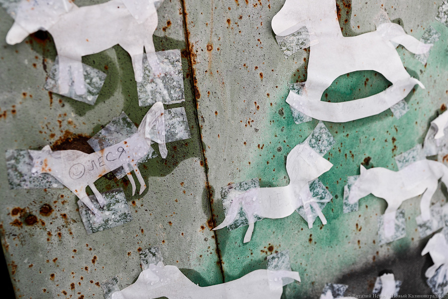 Художественная развалина: что происходит с Домиком Коринта в Гвардейске (фото)