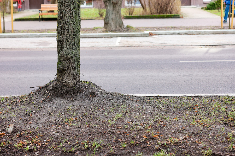 Сложная международная ситуация: как в Калининграде отремонтировали ул. Павлика Морозова (фото)