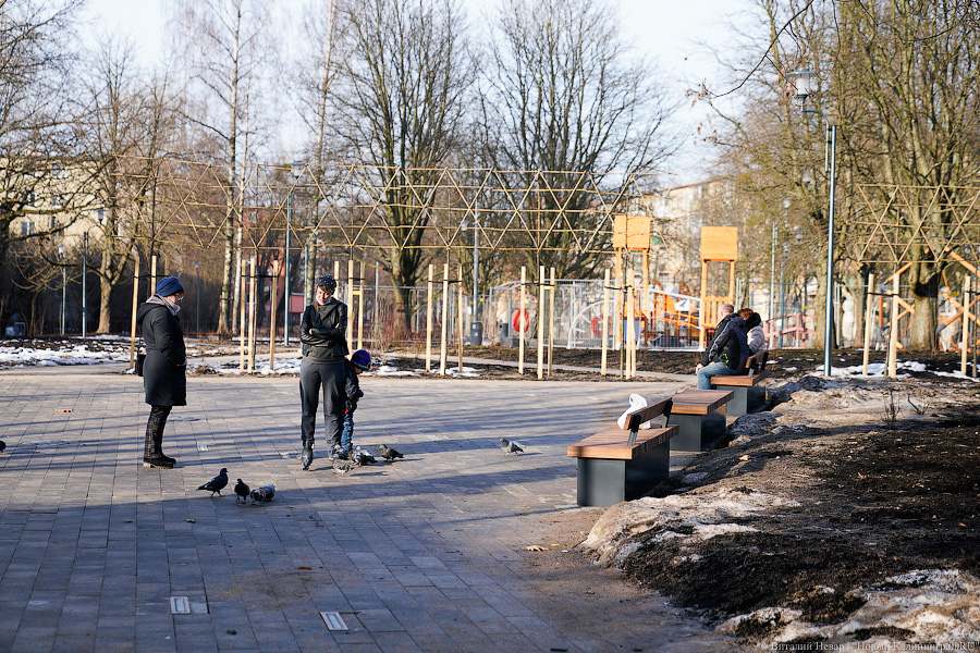 Как выглядит обновленная пешеходная зона на улице Рокоссовского без снега (фото)