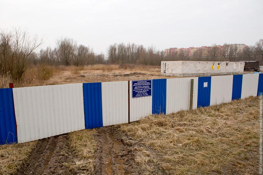 «МАН» бежит, земля дрожит: что происходит с дорогой к строящемуся стадиону на Острове