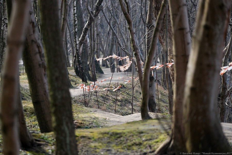 Летом неизвестного года: что не так с новым променадом в Светлогорске (фото)