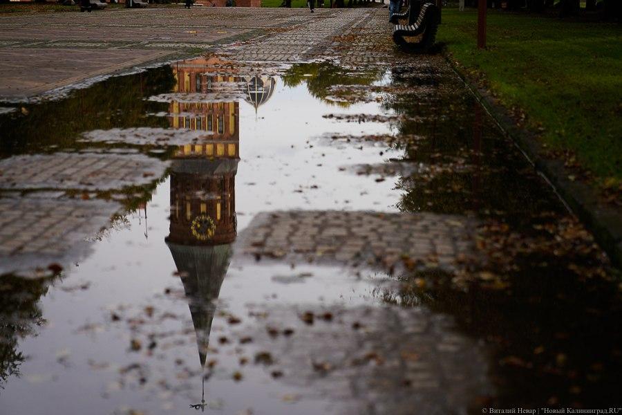 В Калининграде ночью температура опустилась до минимума за историю наблюдений