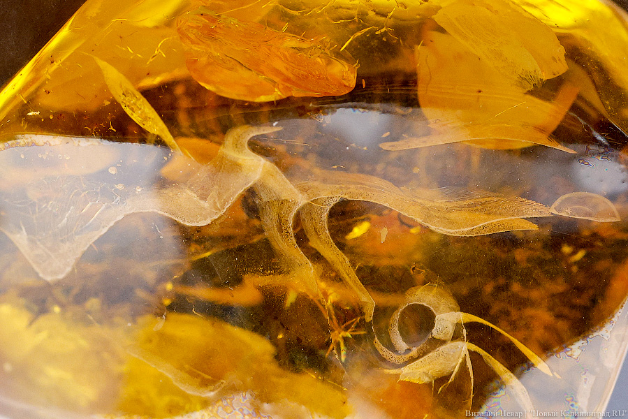 В Катаре хотят построить мечеть из калининградского янтаря