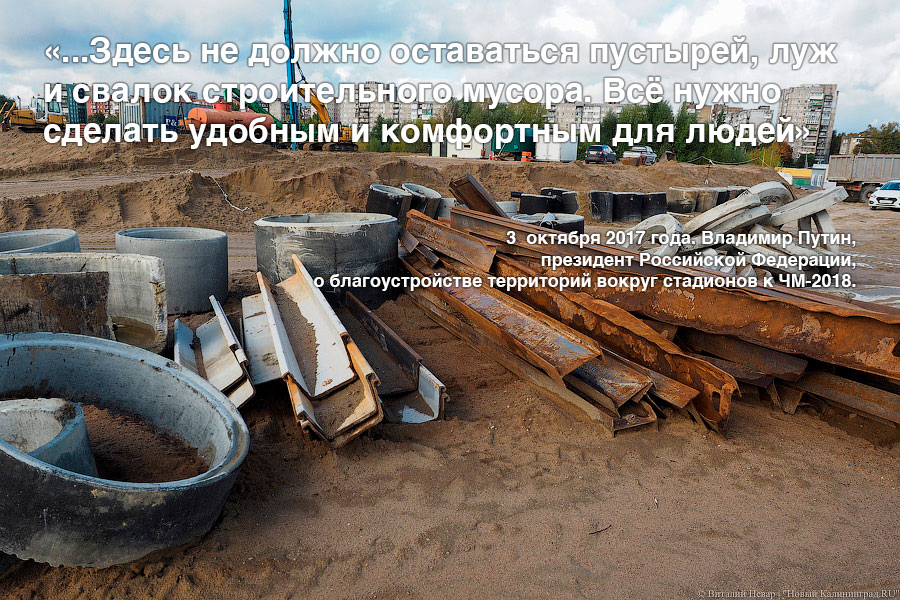 «Радоваться и поддерживать»: сборник вдохновляющих цитат о будущем Острова