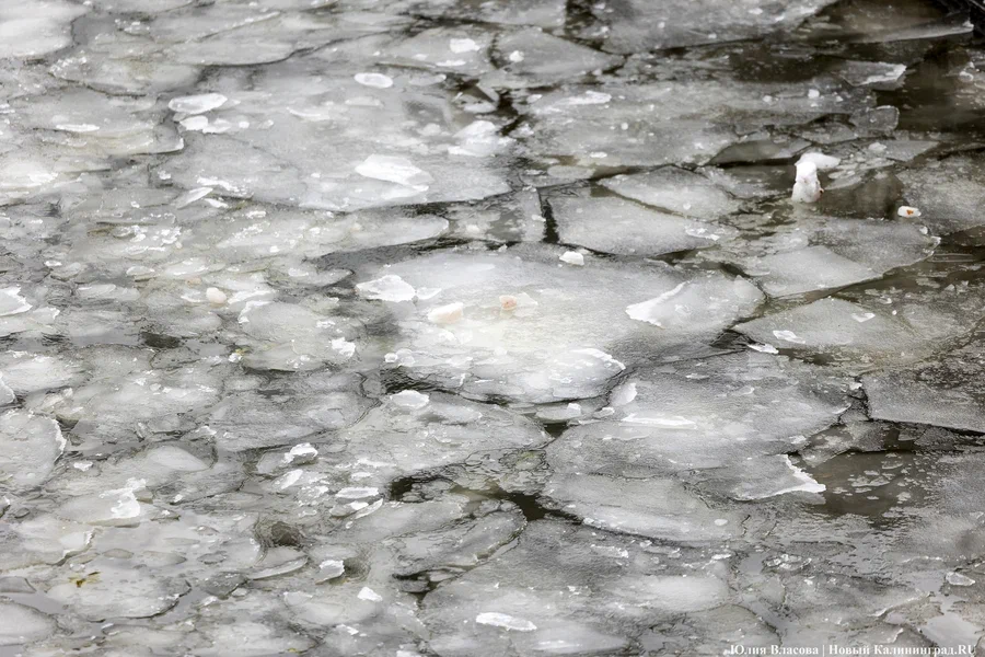 В Черняховске привлекли к ответственности мать провалившегося под лёд ребенка