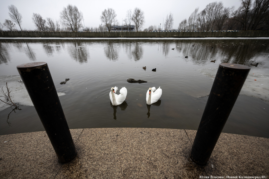 Провал за провалом: что стало с набережной Трибуца за семь лет эксплуатации (фото)
