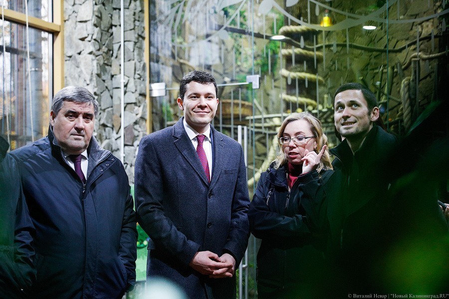 В зоопарке открыт Дом тропической птицы. Посмотрите на жако и спящего трубкозуба