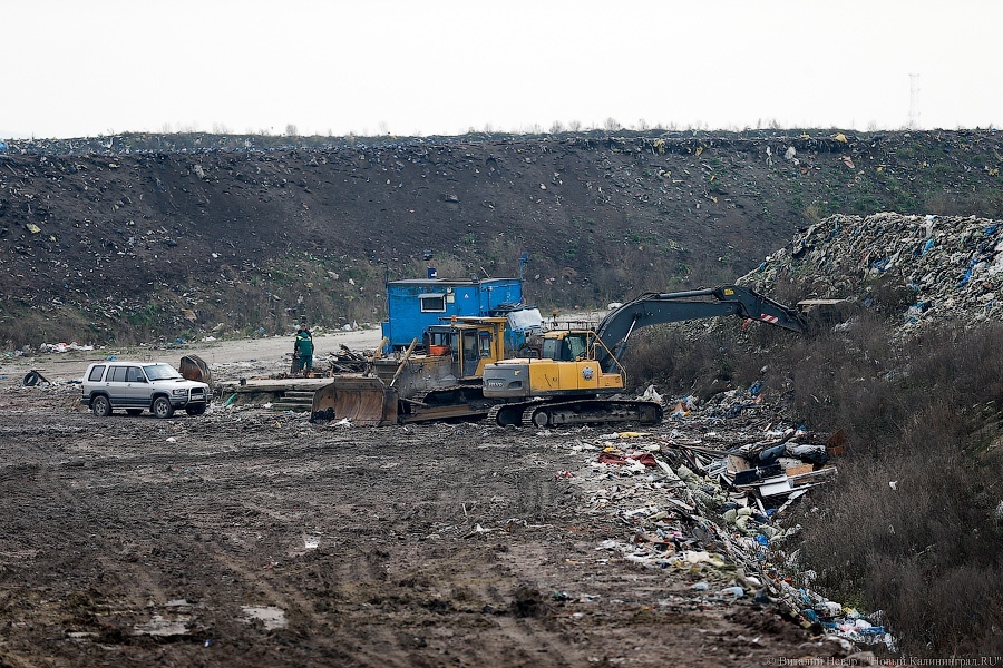 Калининградцы пожаловались Алиханову на «катастрофическую ситуацию» с мусором