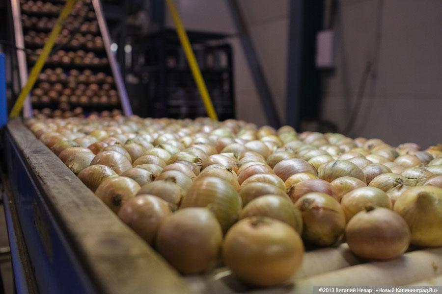 «Не капустой единой»: как Николай Цуканов смотрел и закусывал