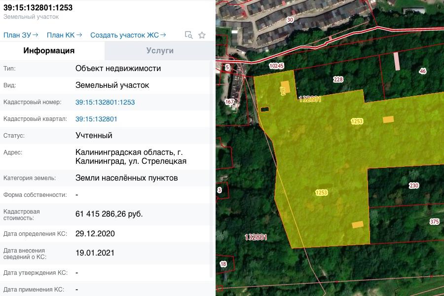 Суздальский лес после приватизации подорожал почти в 5 раз
