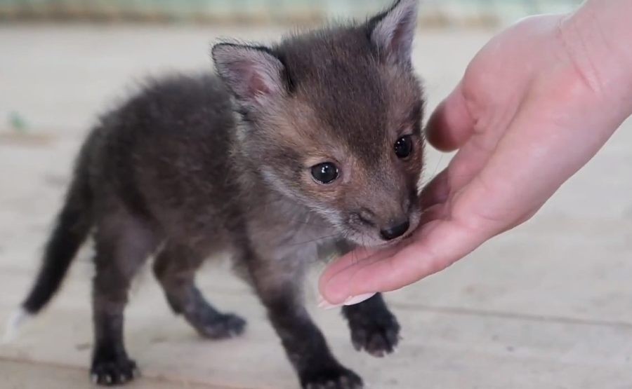 Фото — предоставлено пресс-службой