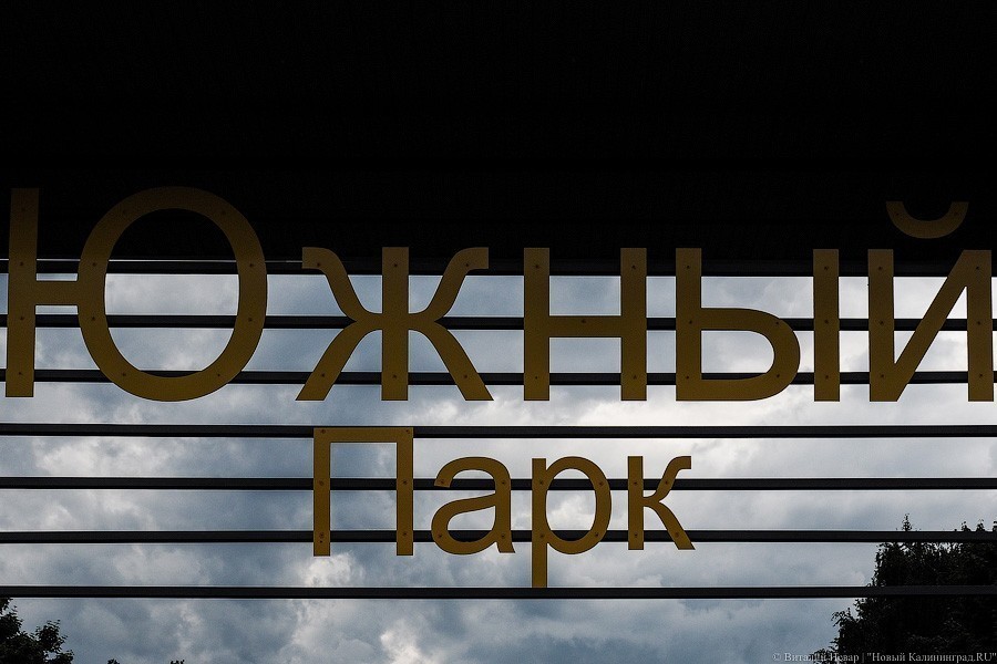 За нарушение самоизоляции оштрафованы двое калининградцев, рыбачивших в Южном парке