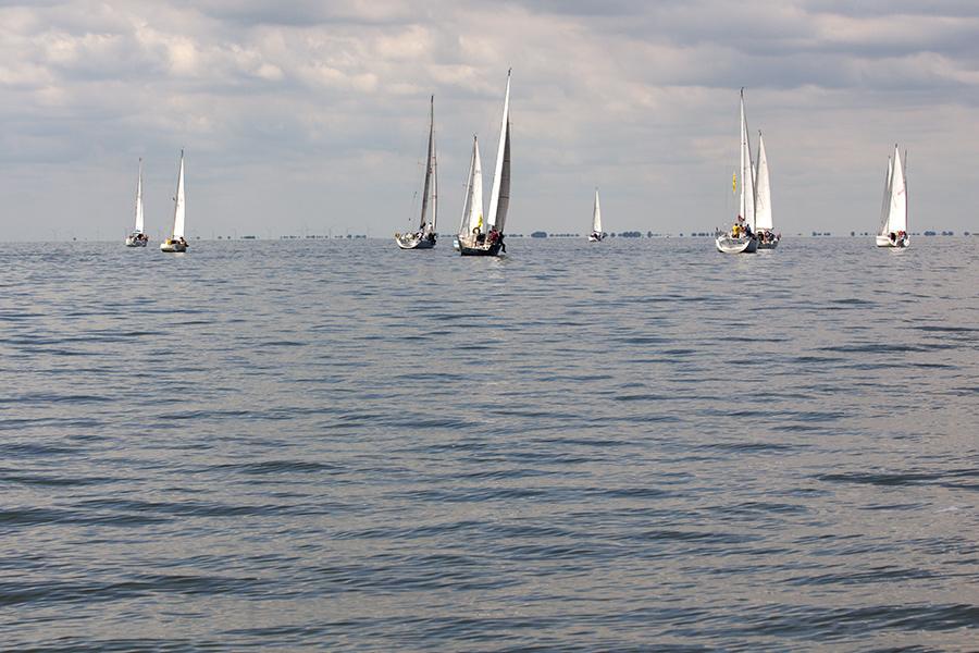 Залив больших возможностей: как прошла регата «Кубок трех губернаторов»