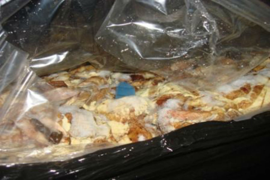 Таможня в Чернышевском обнаружила 2 тонны контрабандной свинины (фото)