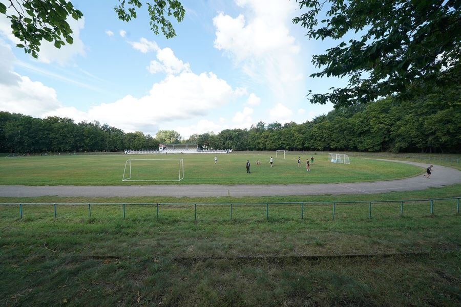 Советчане призвали Путина остановить вырубку у стадиона «Красная звезда» (видео)