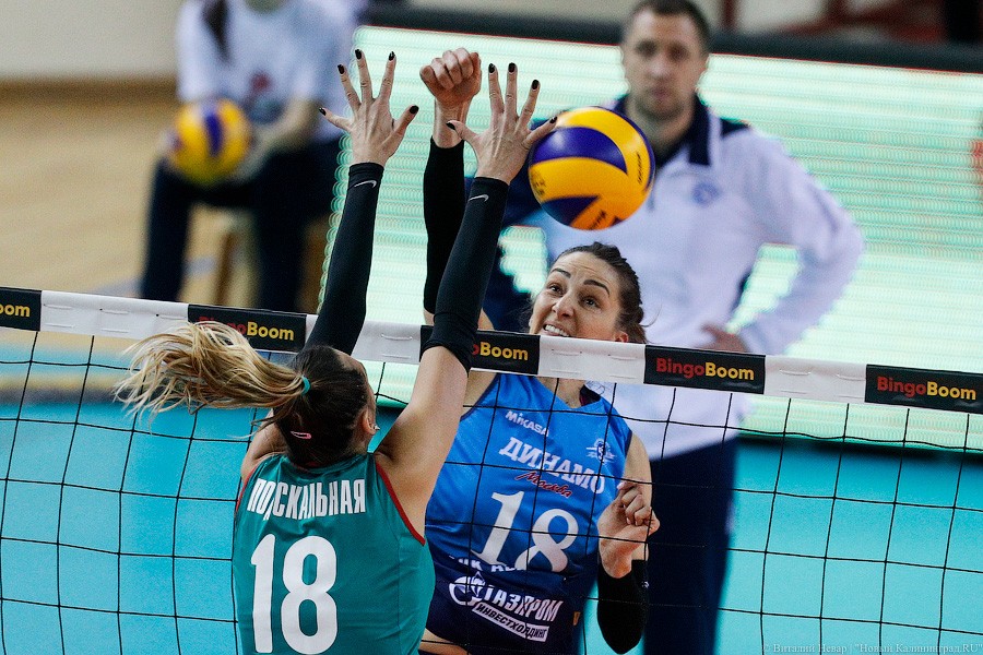 Два «Динамо» подряд: в Калининграде проходит волейбольный «Финал четырех» (фото)