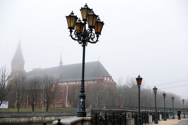 Погода в Калининграде 19 марта