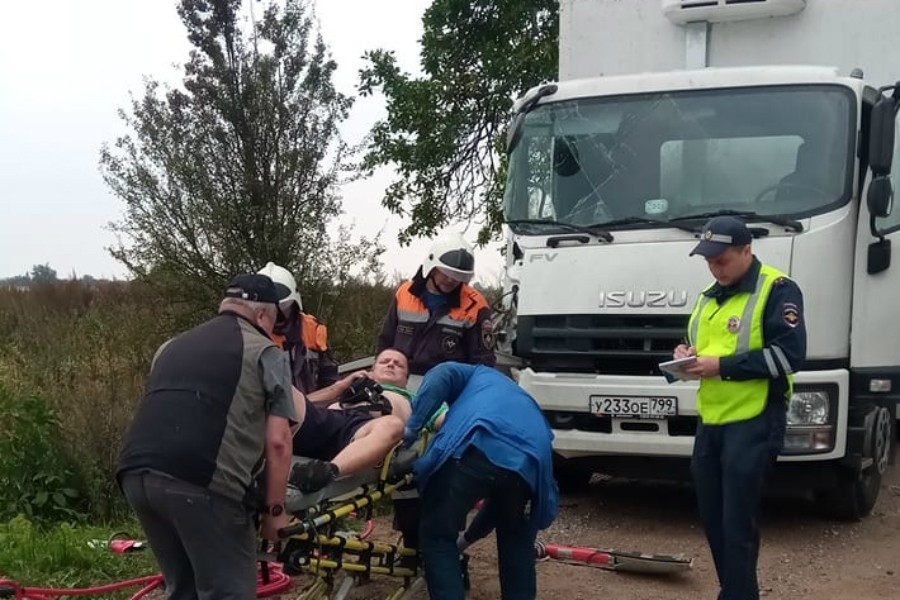 Под Славском фура въехала в дерево из-за кабана на дороге, пострадал мужчина (фото)
