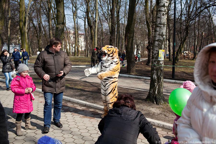 Со сладостями и казачьей песней: как прошел фестиваль «Театр Чудес»