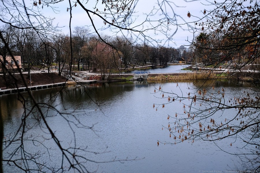 Бетон и пустота: в Калининграде завершается благоустройство Нижнего озера (фото)