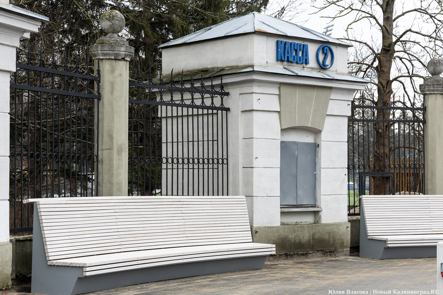 В трех соснах: как выглядит благоустроенная территория у стадиона «Балтика» (фото)