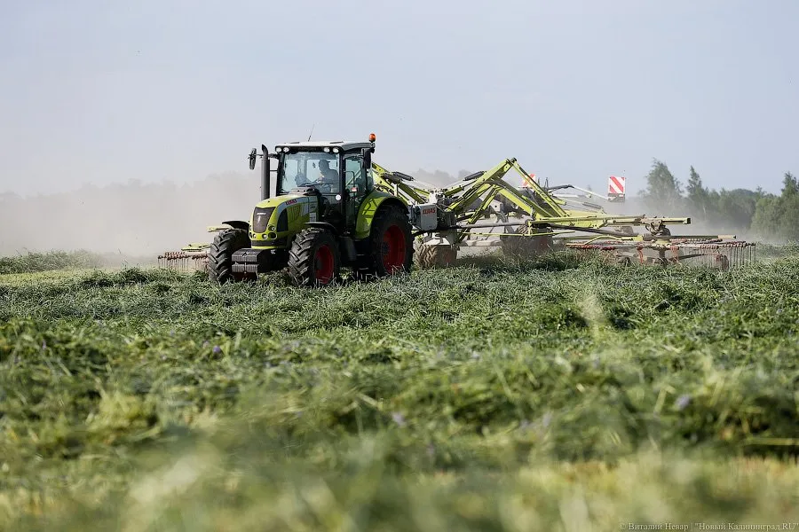 В Калининградской области выявили превышение токсикологических показателей почвы