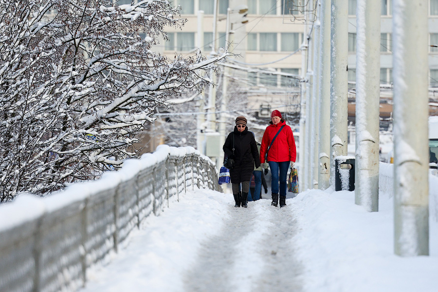 Хаос под белым покрывалом: как выглядит утонувший в снегу Калининград (фото)