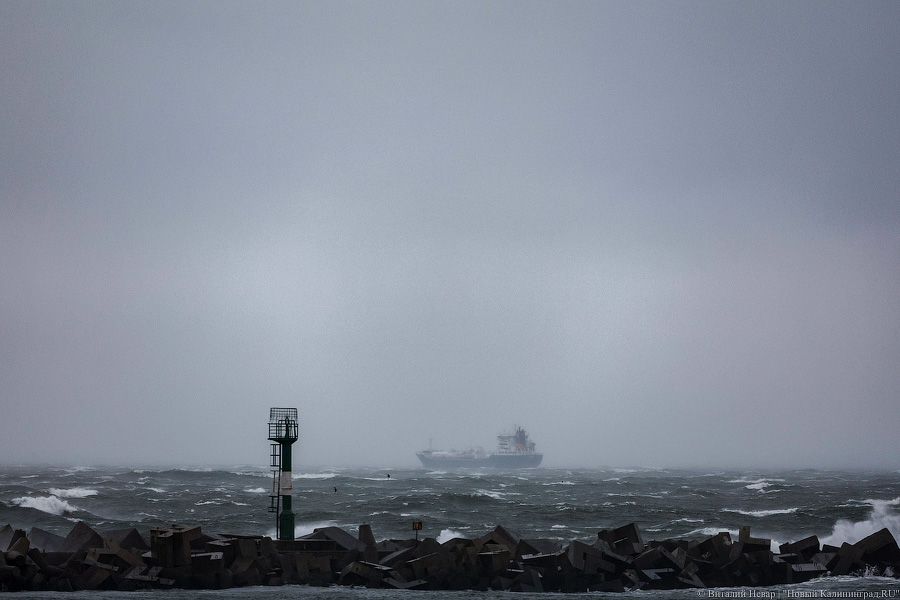 Что нам ветер: фоторепортаж из штормового Балтийска (фото)