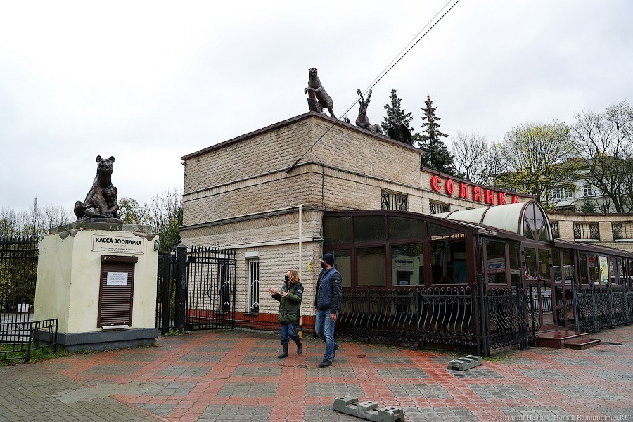 Звери из бронзы: на входе в Калининградский зоопарк установили новые скульптуры (фото)