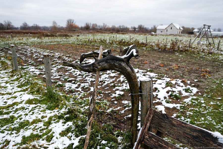 ЛЭП над головой: через дом многодетной семьи ведут электричество в «Храброво»