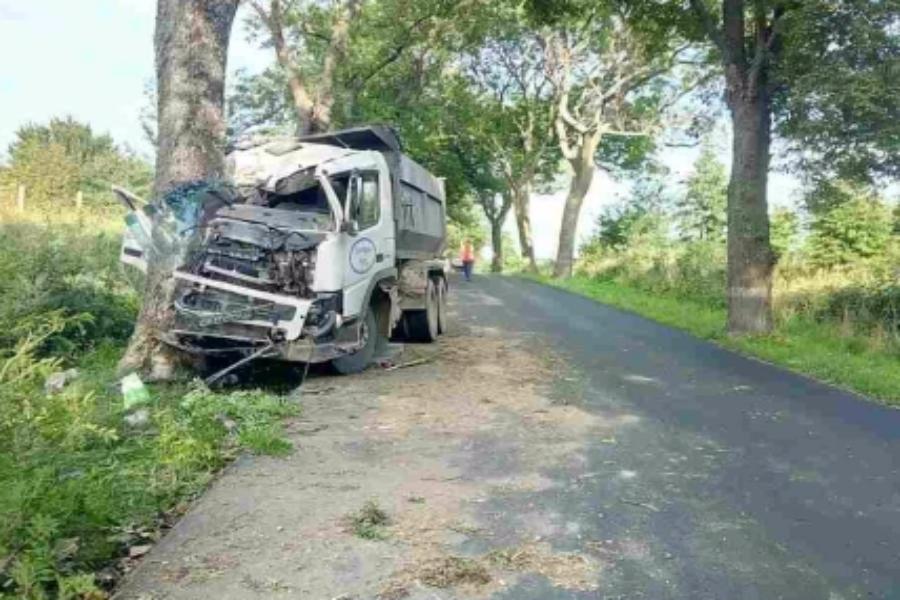 Водитель песковоза, врезавшегося в дерево под Янтарным, госпитализирован