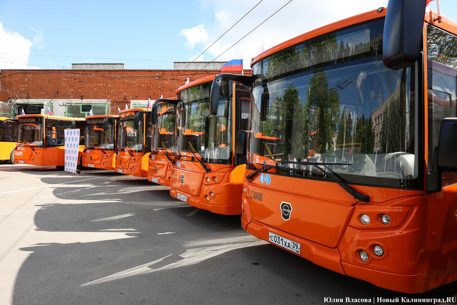 «Не надо искать особенностей»: в Калининграде на линию выпустили новые ЛиАЗы (фото)