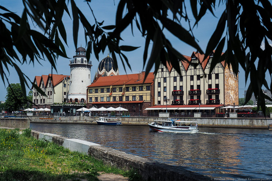 ЛГБТ*-группа с филиалом в Калининграде заявила об остановке деятельности