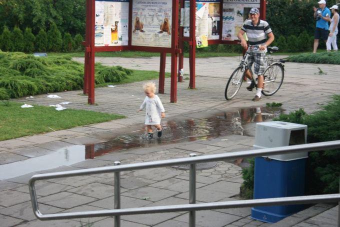 Шторм в Литве: на пляже Ниды ветер поднял в воздух коляску с ребенком (фото)