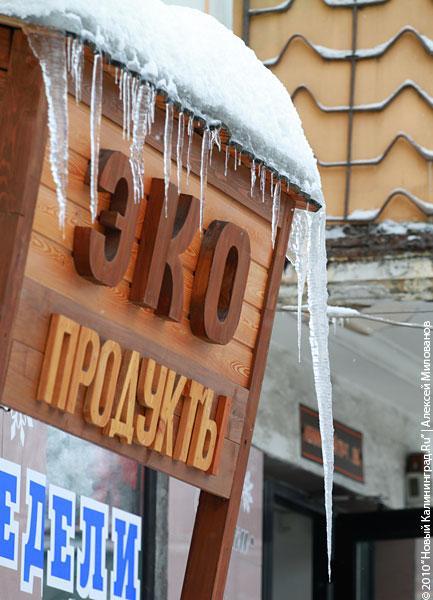 "Прозрачная угроза": фоторепортаж "Нового Калининграда.Ru"