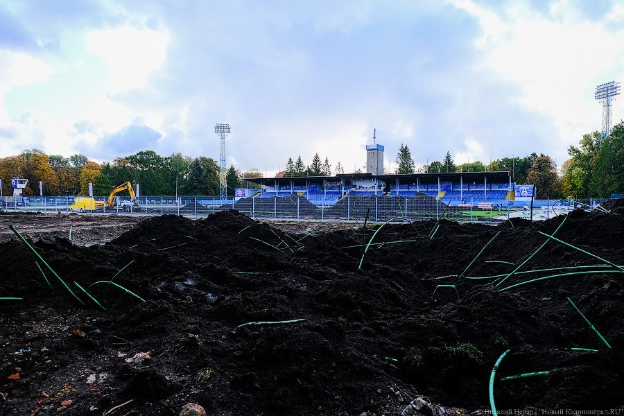 Огород вместо поля: что происходит со стадионом «Балтика» прямо сейчас (фото)