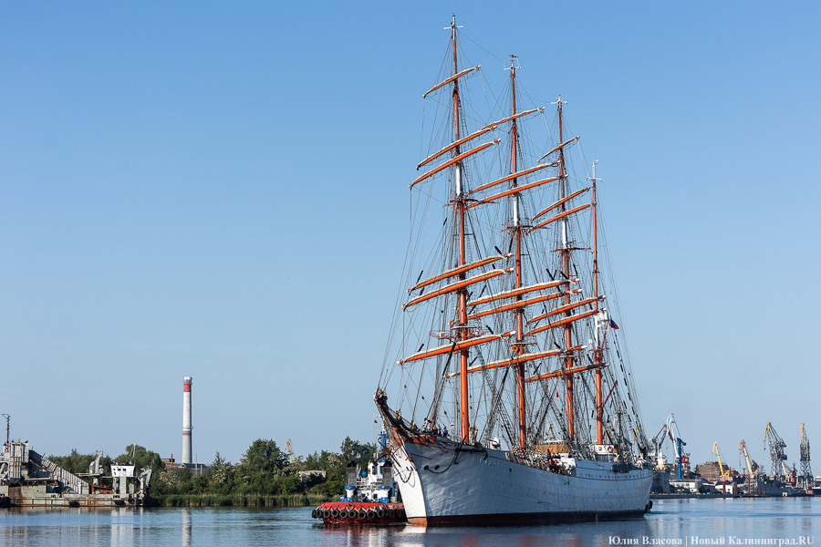 «Седов» заходит в морской канал. Посмотрите, как это красиво (фото)