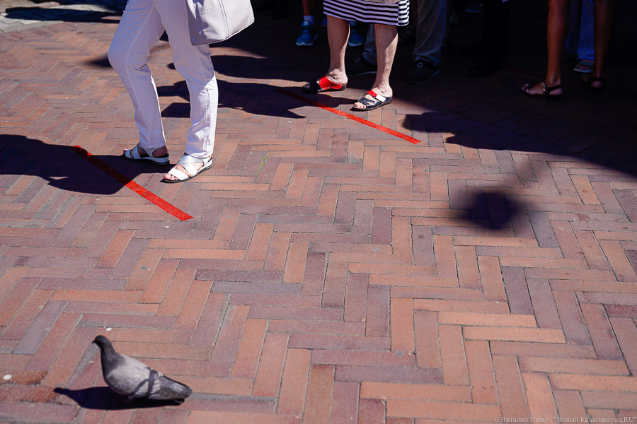 Кто последний на укол: в Калининграде образовались очереди на прививку от COVID