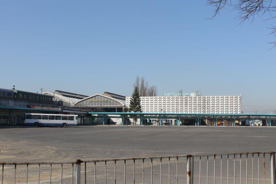 На автовокзале в Калининграде выкапывают ёлки ради безопасности пассажиров