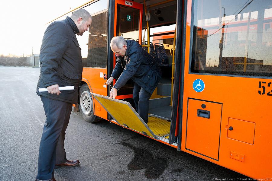 «Сделав шаг»: в Калининграде появились новые низкопольные автобусы (фото)