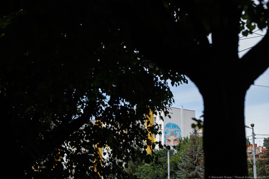 В Калининграде на фасаде девятиэтажки нарисовали врача в маске (фото)