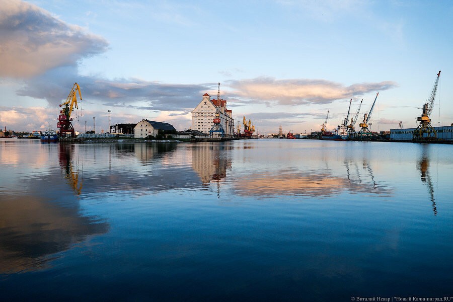 Алиханов попросил Медведева помочь реконструировать морской канал и показал креветку