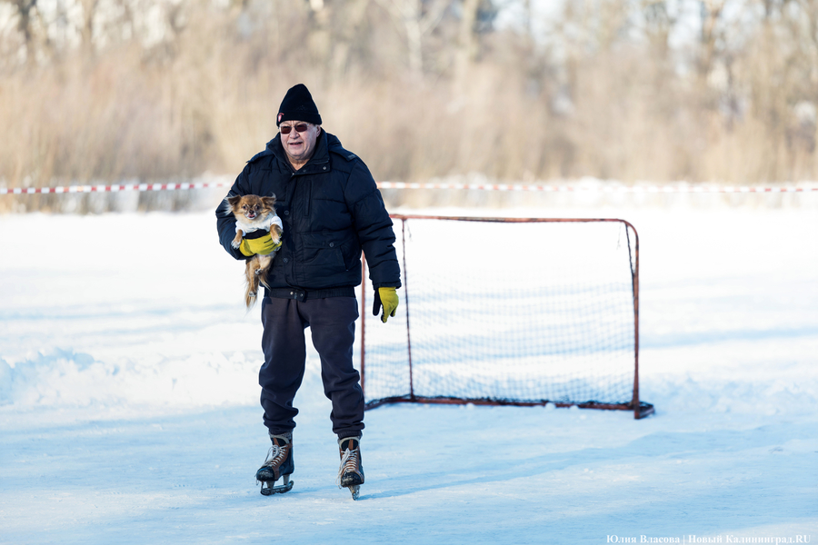 Игры при −20°C: как в Калининграде прошёл День зимних видов спорта