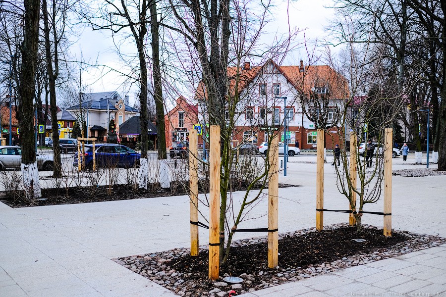 Плитка на плитке: как выглядит центр Зеленоградска во время реконструкции (фото)