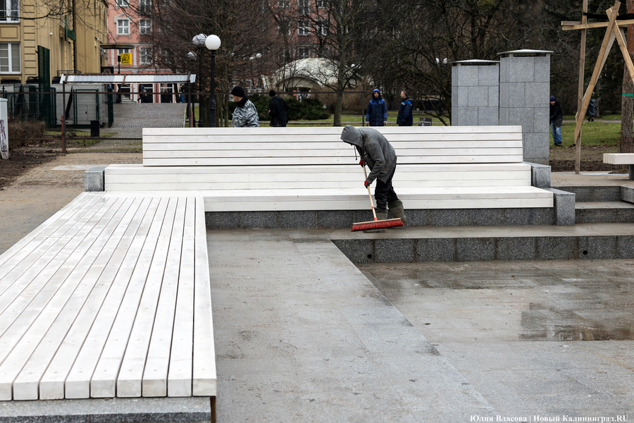В трех соснах: как выглядит благоустроенная территория у стадиона «Балтика» (фото)