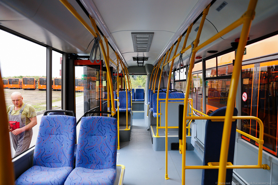 Оранжевое счастье: Калининграду передали 100 новых автобусов МАЗ (фото)