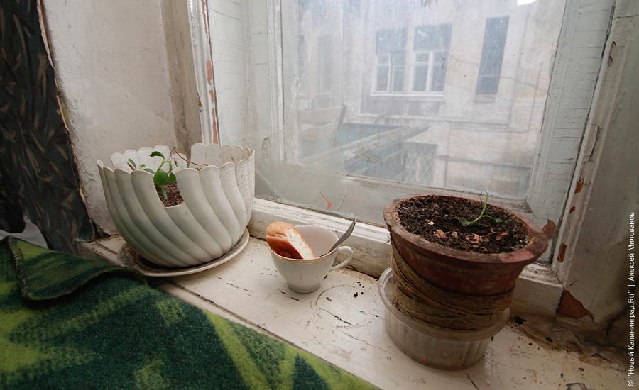 "Подстанция несуществующей страны": фоторепортаж "Нового Калининграда.Ru"