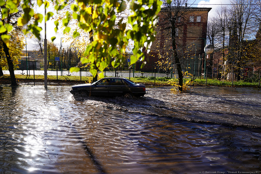 Другой берег улицы: Калининград затопило после шторма (да, опять)