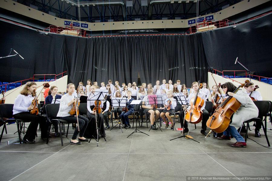 Жизнь как главный проект: выставка «PRO Ярмарка образования» в Калининграде