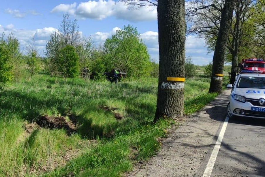 В Правдинском районе «Ауди» вылетел с дороги в кусты и перевернулся (фото)
